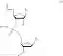 Fig. 28 - NUCLEOTIDE AND OLIGONUCLEOTIDE PRODRUGS