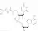 Fig. 32 - NUCLEOTIDE AND OLIGONUCLEOTIDE PRODRUGS
