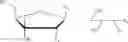 Fig. 33 - NUCLEOTIDE AND OLIGONUCLEOTIDE PRODRUGS