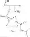 Fig. 37 - NUCLEOTIDE AND OLIGONUCLEOTIDE PRODRUGS