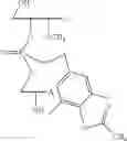 Fig. 40 - NUCLEOTIDE AND OLIGONUCLEOTIDE PRODRUGS