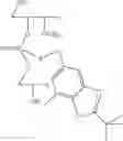 Fig. 41 - NUCLEOTIDE AND OLIGONUCLEOTIDE PRODRUGS