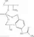 Fig. 42 - NUCLEOTIDE AND OLIGONUCLEOTIDE PRODRUGS
