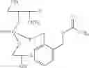 Fig. 45 - NUCLEOTIDE AND OLIGONUCLEOTIDE PRODRUGS