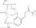 Fig. 46 - NUCLEOTIDE AND OLIGONUCLEOTIDE PRODRUGS