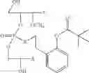 Fig. 48 - NUCLEOTIDE AND OLIGONUCLEOTIDE PRODRUGS