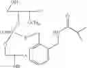 Fig. 51 - NUCLEOTIDE AND OLIGONUCLEOTIDE PRODRUGS