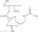 Fig. 52 - NUCLEOTIDE AND OLIGONUCLEOTIDE PRODRUGS