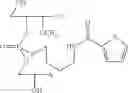 Fig. 54 - NUCLEOTIDE AND OLIGONUCLEOTIDE PRODRUGS