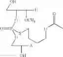 Fig. 56 - NUCLEOTIDE AND OLIGONUCLEOTIDE PRODRUGS