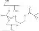 Fig. 57 - NUCLEOTIDE AND OLIGONUCLEOTIDE PRODRUGS