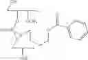 Fig. 58 - NUCLEOTIDE AND OLIGONUCLEOTIDE PRODRUGS