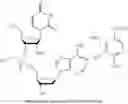 Fig. 69 - NUCLEOTIDE AND OLIGONUCLEOTIDE PRODRUGS