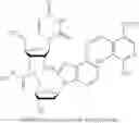 Fig. 70 - NUCLEOTIDE AND OLIGONUCLEOTIDE PRODRUGS
