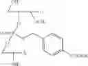 Fig. 72 - NUCLEOTIDE AND OLIGONUCLEOTIDE PRODRUGS
