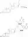 Fig. 87 - NUCLEOTIDE AND OLIGONUCLEOTIDE PRODRUGS