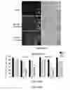 Fig. 14 - Use of strigolactones and strigolactone analogs for treating proliferative conditions