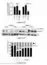 Fig. 34 - Use of strigolactones and strigolactone analogs for treating proliferative conditions