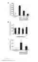Fig. 02 - Method for treating glioblastomas and other tumors