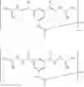Fig. 19 - Method for treating glioblastomas and other tumors