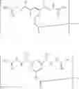 Fig. 27 - Method for treating glioblastomas and other tumors