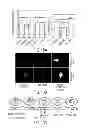 Fig. 27 - TRANSCRIPTOME WIRING ANALYSIS IN PARKINSON'S DISEASE AND USES THEREOF