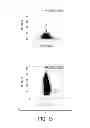 Fig. 41 - TRANSCRIPTOME WIRING ANALYSIS IN PARKINSON'S DISEASE AND USES THEREOF