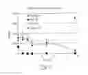 Fig. 10 - SOLID FORMULATIONS OF LIQUID BIOLOGICALLY ACTIVE AGENTS