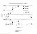 Fig. 16 - SOLID FORMULATIONS OF LIQUID BIOLOGICALLY ACTIVE AGENTS