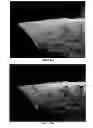 Fig. 12 - Method for the preparation of composite silica alcogels, aerogels and xerogels, apparatus for carrying out the method continuously, and novel composite silica alcogels, aerogels and xerogels