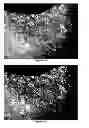 Fig. 14 - Method for the preparation of composite silica alcogels, aerogels and xerogels, apparatus for carrying out the method continuously, and novel composite silica alcogels, aerogels and xerogels