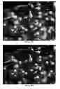 Fig. 18 - Method for the preparation of composite silica alcogels, aerogels and xerogels, apparatus for carrying out the method continuously, and novel composite silica alcogels, aerogels and xerogels