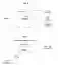 Fig. 03 - METHODS AND APPARATUS FOR THE CONTROL OF ADENOSINE TRIPHOSPHATE SYNTHASE ACTIVITY WITHIN LIVING ORGANISMS, AND CONDITIONING OF WATER-BASED FLUIDS AND SUBSTANCES USING MAGNETIC FIELD EXPOSURES OR THEIR WITHDRAWAL