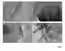 Fig. 01 - COMPOSITION OF NANOCOMPOSITE CONTAINING GRAPHENE SHEETS