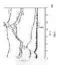 Fig. 11 - COMPOSITION OF NANOCOMPOSITE CONTAINING GRAPHENE SHEETS