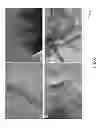 Fig. 13 - COMPOSITION OF NANOCOMPOSITE CONTAINING GRAPHENE SHEETS