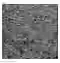 Fig. 02 - SYNTHETIC MARBLE WITH HIGH HARDNESS AND METHOD OF MANUFACTURING THE SAME