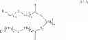 Fig. 12 - Process of preparation of polyols and polyamines, and products as obtained