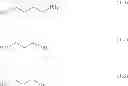 Fig. 34 - Process of preparation of polyols and polyamines, and products as obtained