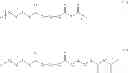 Fig. 96 - Process of preparation of polyols and polyamines, and products as obtained