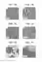Fig. 08 - FUNCTIONALIZED BLOCK COMPOSITE AND CRYSTALLINE BLOCK COMPOSITE COMPOSITIONS