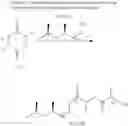 Fig. 10 - Process for the preparation of defined functional lactic acid oligomers