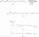 Fig. 07 - Amino acid preparation method comprising a step of hydroformylation of an unsaturated fatty nitrile