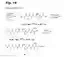 Fig. 03 - Antiproliferative compounds, conjugates thereof, methods therefor, and uses thereof