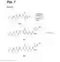 Fig. 09 - Antiproliferative compounds, conjugates thereof, methods therefor, and uses thereof