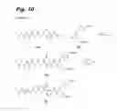 Fig. 12 - Antiproliferative compounds, conjugates thereof, methods therefor, and uses thereof