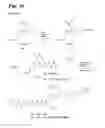 Fig. 20 - Antiproliferative compounds, conjugates thereof, methods therefor, and uses thereof