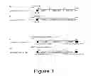 Fig. 02 - Development of Sensitive FRET Sensors and Methods of Using the Same