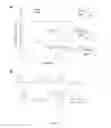 Fig. 07 - Method of detecting cancer based on glycan biomarkers