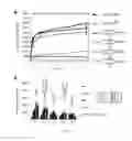 Fig. 12 - Method of detecting cancer based on glycan biomarkers